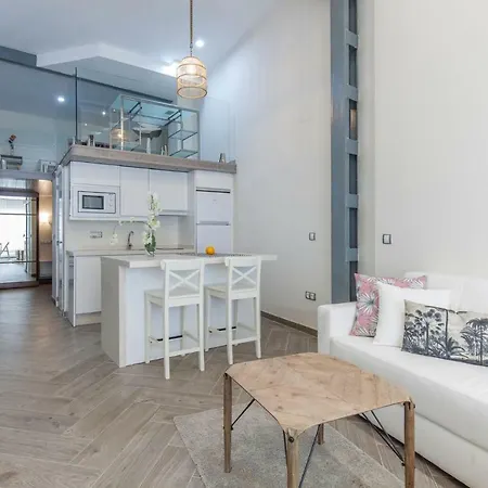 Apartment Duplex Centro